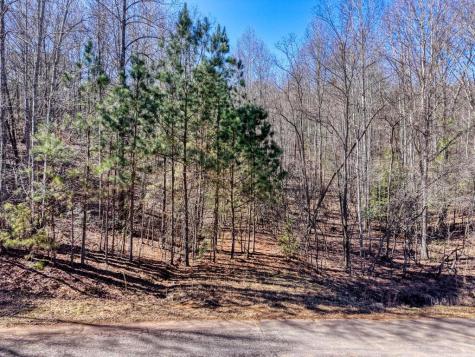 Lot 27 Trailwood Drive Blairsville GA 30512
