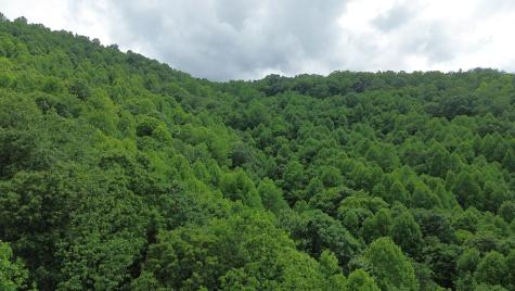 115 Calvender Road Turtletown TN 37391