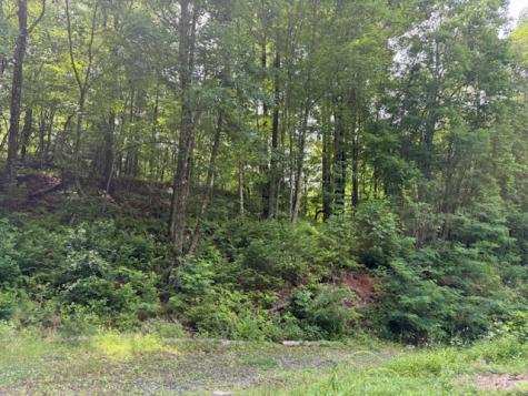 115 Calvender Road Turtletown TN 37391