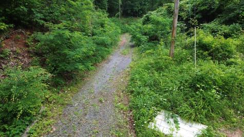 115 Calvender Road Turtletown TN 37391