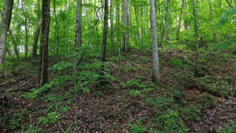 115 Calvender Road Turtletown TN 37391