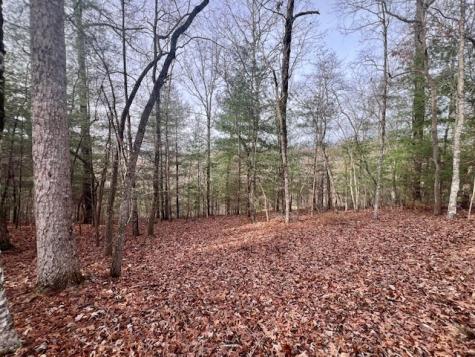 149 Hickory Way Blue Ridge GA 30513