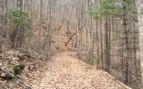 0 Gooch Creek Cove Suches GA 30572