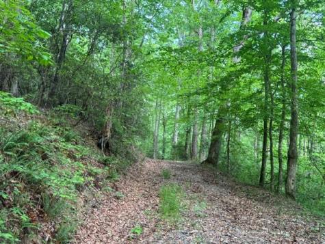 0 Gooch Creek Cove Suches GA 30572