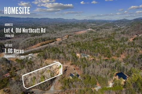 Tract 4 Old Northcutt Road Ellijay GA 30540