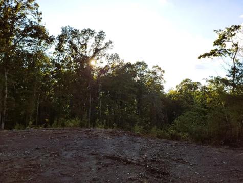 Tract 4 Old Northcutt Road Ellijay GA 30540