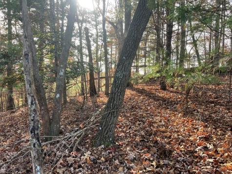 71 Dryad Court Ellijay GA 30540