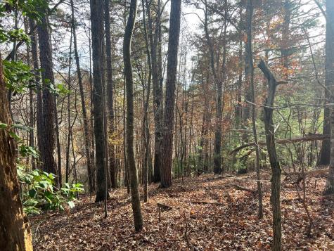 71 Dryad Court Ellijay GA 30540