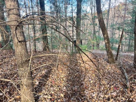 71 Dryad Court Ellijay GA 30540