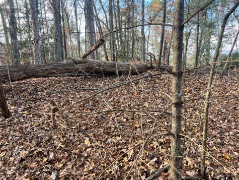 71 Dryad Court Ellijay GA 30540