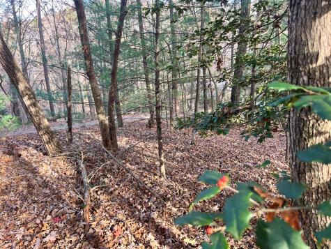 71 Dryad Court Ellijay GA 30540