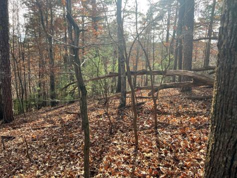 71 Dryad Court Ellijay GA 30540