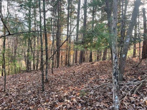 71 Dryad Court Ellijay GA 30540