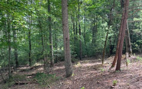 LOT13 Sour Apple Lane Blairsville GA 30512