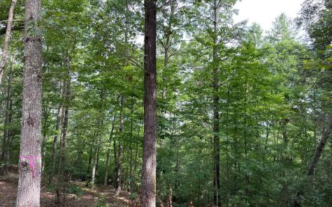 LOT13 Sour Apple Lane Blairsville GA 30512