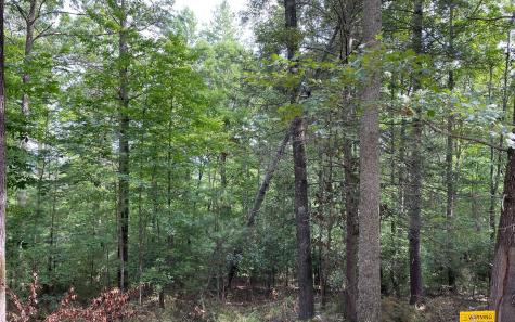 LOT13 Sour Apple Lane Blairsville GA 30512