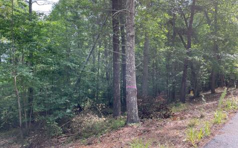 LOT13 Sour Apple Lane Blairsville GA 30512