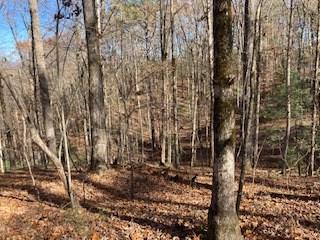 Lot 260 Catawba Circle Ellijay GA 30540