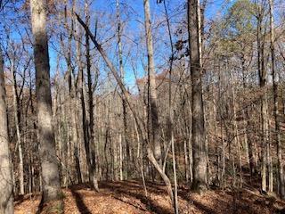 Lot 260 Catawba Circle Ellijay GA 30540