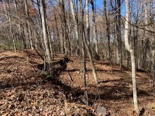 Lot 260 Catawba Circle Ellijay GA 30540