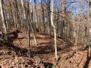 Lot 260 Catawba Circle Ellijay GA 30540