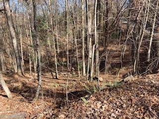 Lot 260 Catawba Circle Ellijay GA 30540
