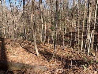 Lot 260 Catawba Circle Ellijay GA 30540