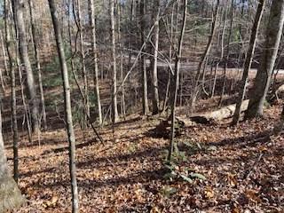 Lot 260 Catawba Circle Ellijay GA 30540