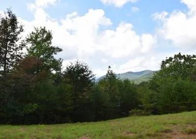 114 Blackhawk Lane Turtletown TN 37391
