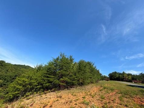 114 Blackhawk Lane Turtletown TN 37391