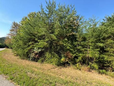 114 Blackhawk Lane Turtletown TN 37391