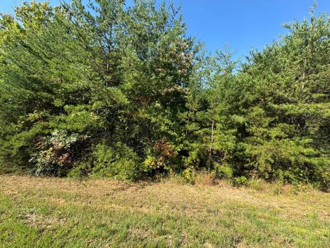 114 Blackhawk Lane Turtletown TN 37391