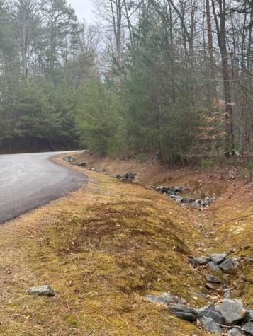 16R Leatherwood Mountain Road Cherry Log GA 30522