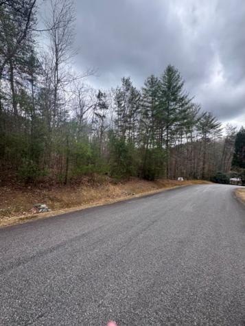 16R Leatherwood Mountain Road Cherry Log GA 30522