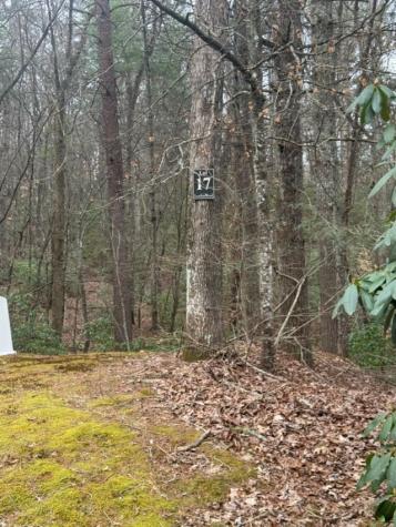 16R Leatherwood Mountain Road Cherry Log GA 30522