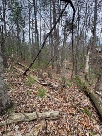 16R Leatherwood Mountain Road Cherry Log GA 30522