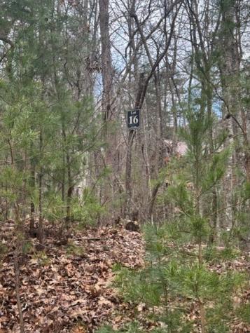 16R Leatherwood Mountain Road Cherry Log GA 30522