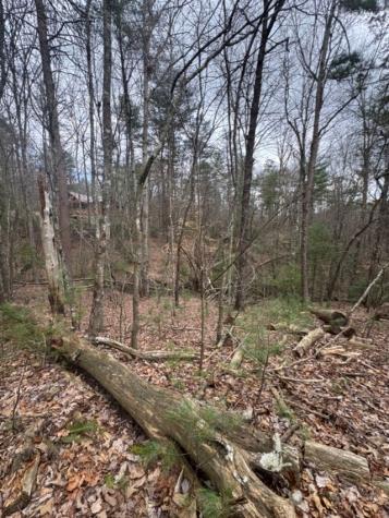 16R Leatherwood Mountain Road Cherry Log GA 30522