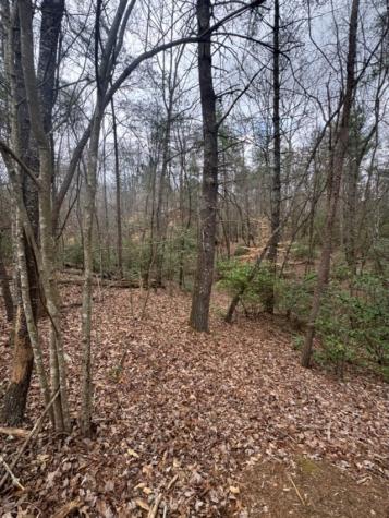 16R Leatherwood Mountain Road Cherry Log GA 30522