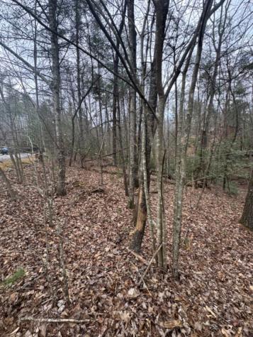 16R Leatherwood Mountain Road Cherry Log GA 30522