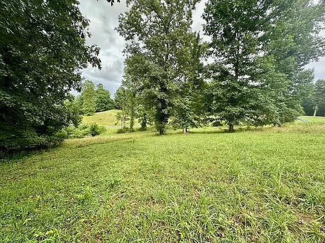 Lot 15 Pleasant Meadows Blairsville GA 30512