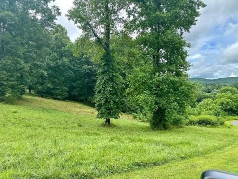 Lot 15 Pleasant Meadows Blairsville GA 30512