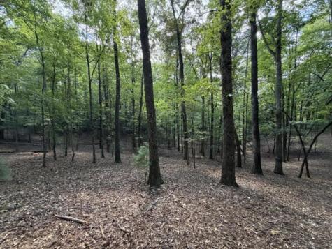Lot 556 Satsuma Court Ellijay GA 30540
