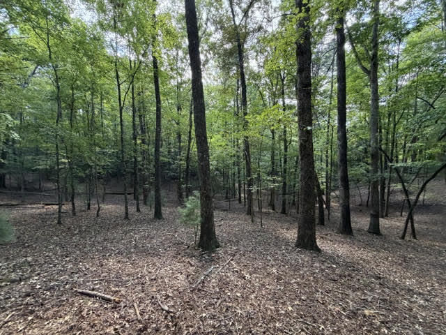Lot 556 Satsuma Court Ellijay GA 30540