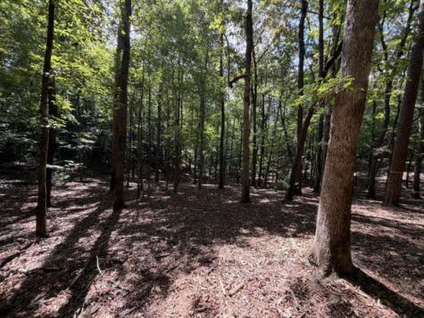 Lot 556 Satsuma Court Ellijay GA 30540