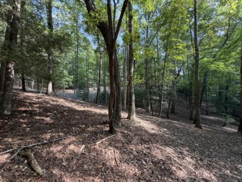 Lot 556 Satsuma Court Ellijay GA 30540