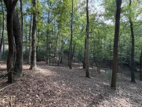 Lot 556 Satsuma Court Ellijay GA 30540