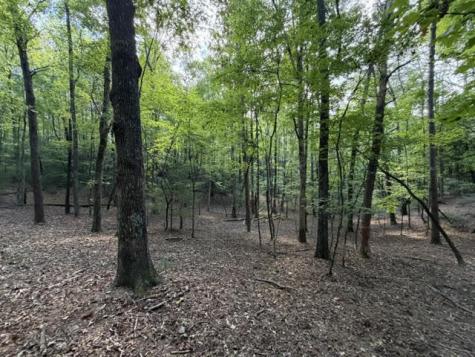 Lot 556 Satsuma Court Ellijay GA 30540
