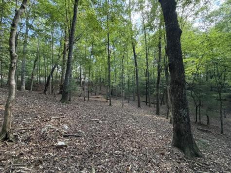 Lot 556 Satsuma Court Ellijay GA 30540