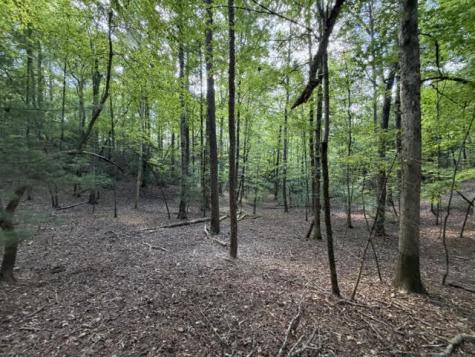 Lot 556 Satsuma Court Ellijay GA 30540